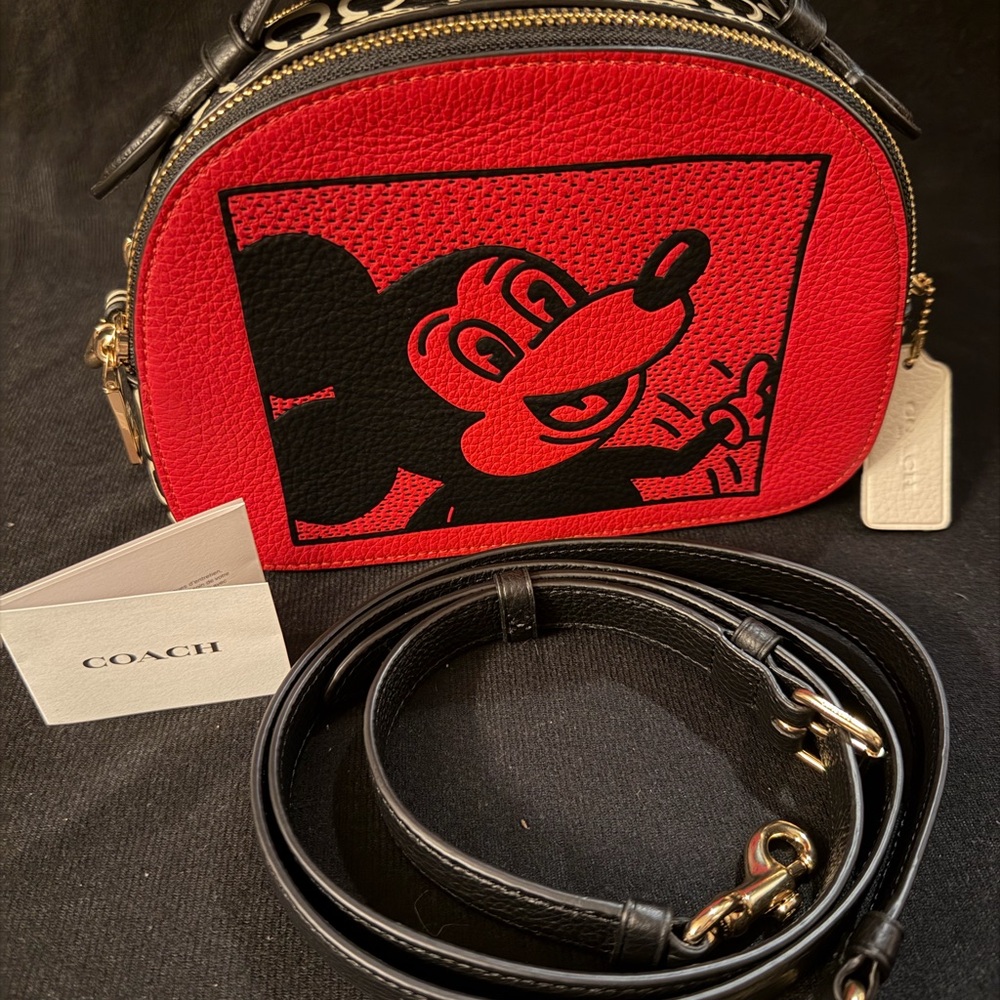 Coach Disney Mickey Mouse X Keith Haring Serena Satchel